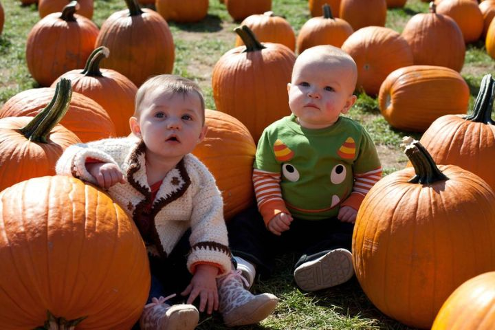Pumpkin Picking Activity for Kids in NYC
