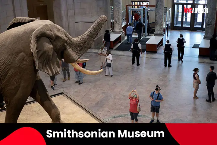 Explore the Great Smithsonian Museum in September, NYC