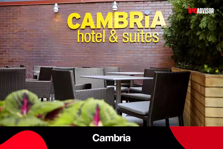 The Cambria