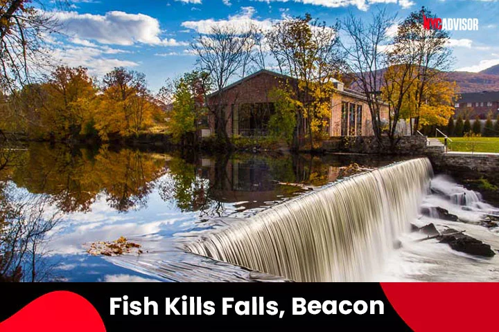 Fish Kills Falls