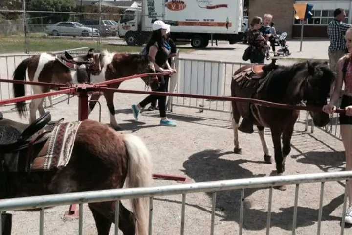 fun riding the mechanical ponies