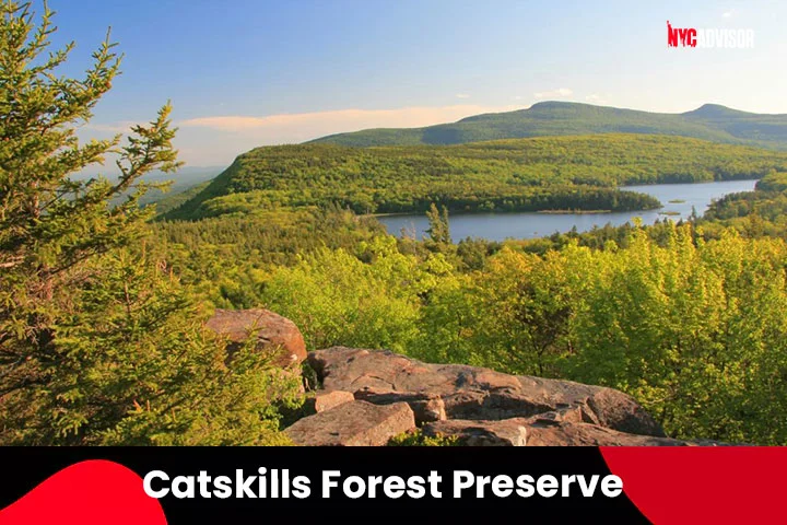Catskills Forest Preserve