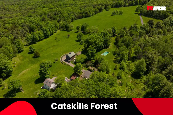 Catskills Forest Preserves