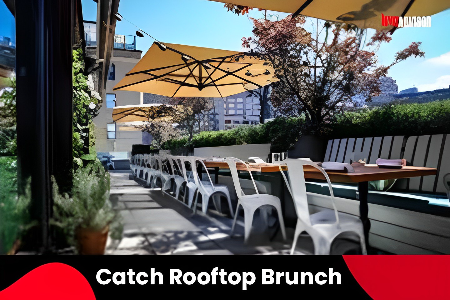 The Catch Rooftop Brunch in NYC