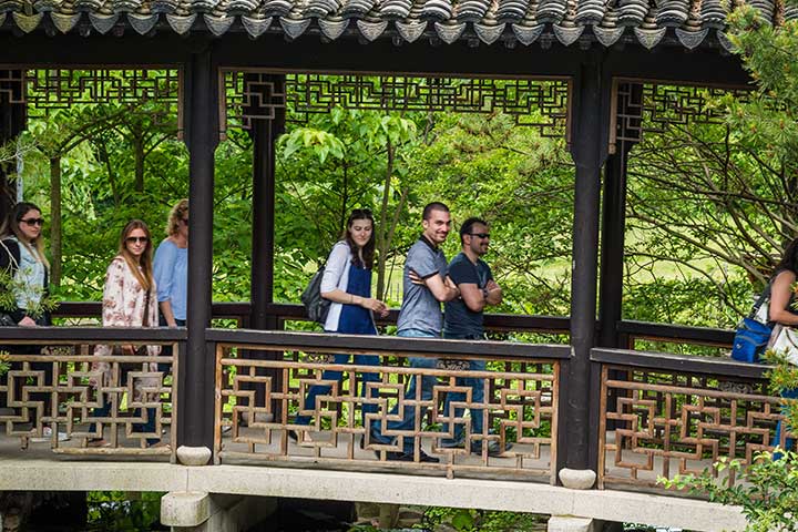 Chinese Scholar's Garden