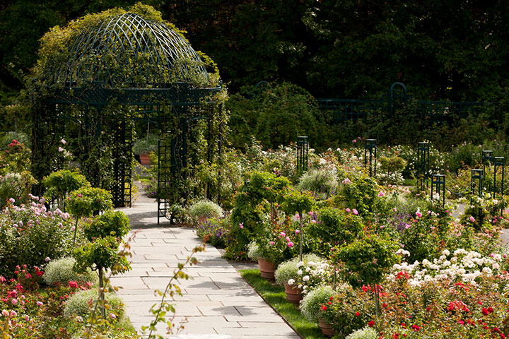 Peggy Rockefeller Rose Garden NYBG