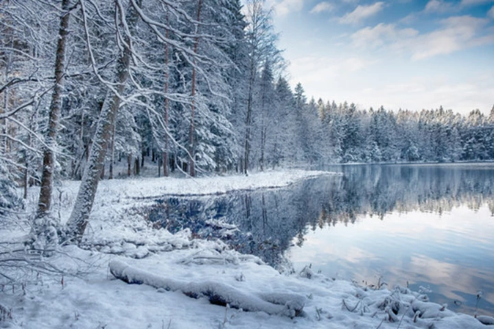 Winter: A Snowy Fairy Tale
