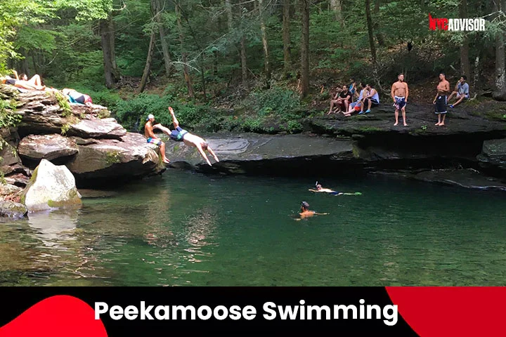 Peekamoose Swimming Hole in NY in August