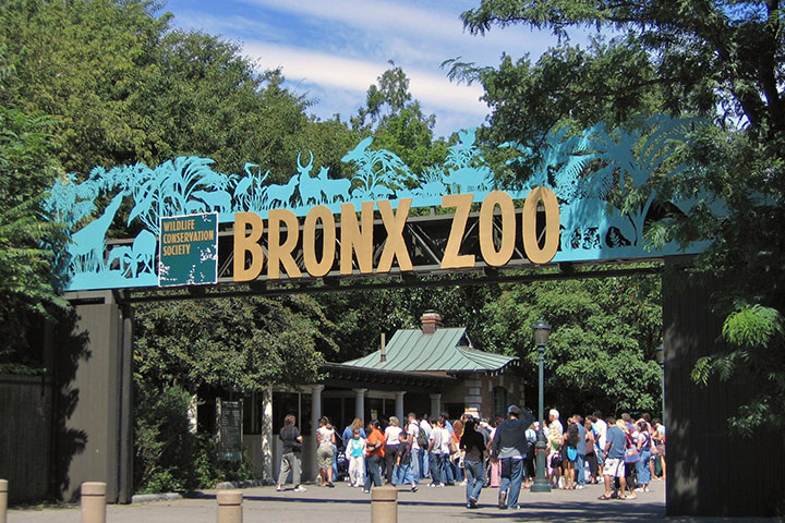 2. Bronx Zoo