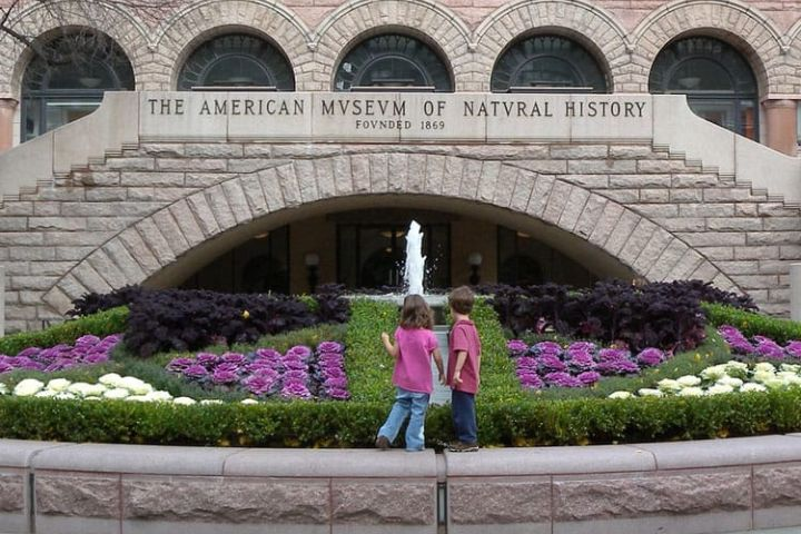 American Museum of National History for Kids in NYC