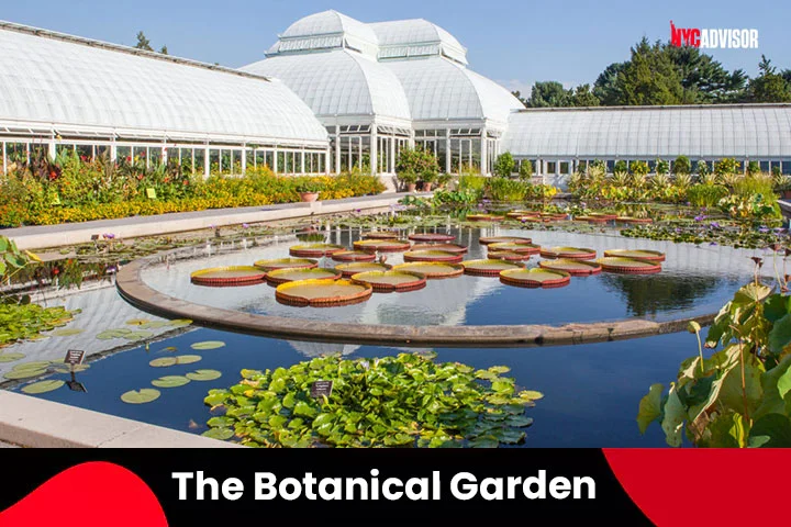 The Botanical Garden, New York City
