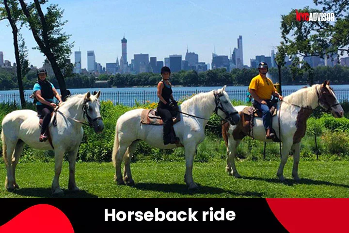 Horseback ride in Central Park