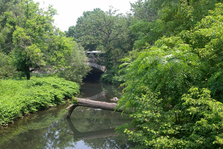 The Bronx River