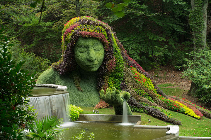 Botanical Gardens: