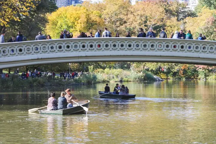 Enjoy the boat rides in the Central Park
