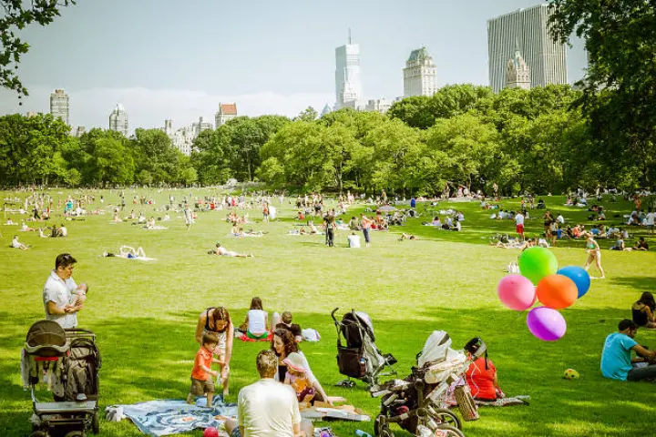 Enjoy a Picnic at Waterfront NYC Parks in the Summer