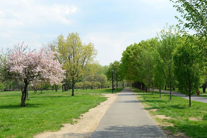 Soundview Park