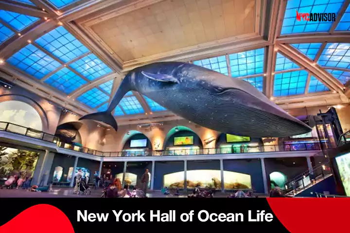 New York Hall of Ocean Life
