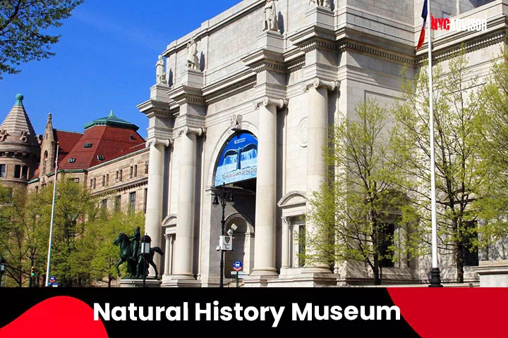 The Incredible Natural History Museum in NYC