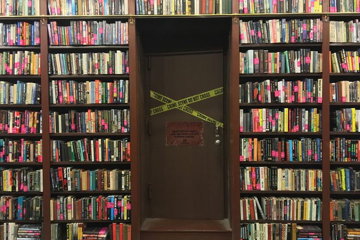 The Mysterious Bookshop