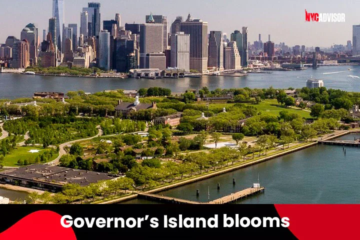 Governor's Island blooms in Spring