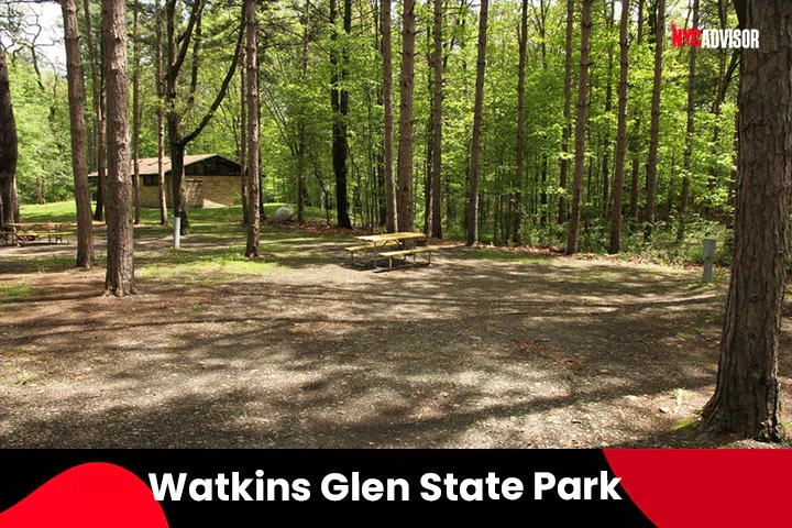 Watkins Glen State Park 