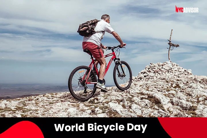 World Bicycle Day in June