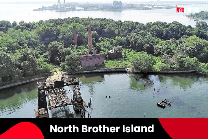 North Brother Island in the Bronx