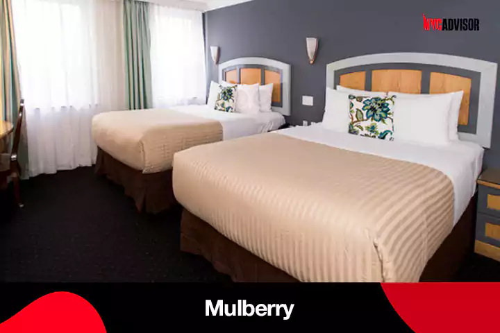 Mulberry