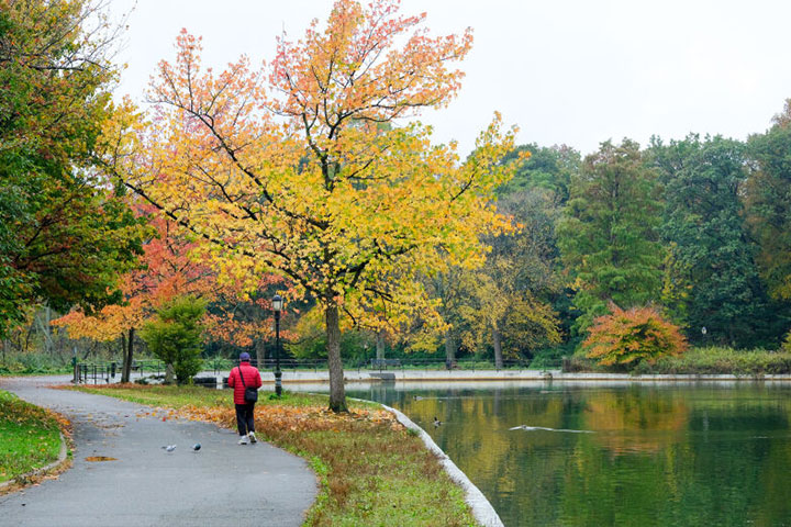 Kissena Park