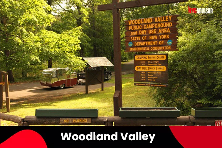 Woodland Valley