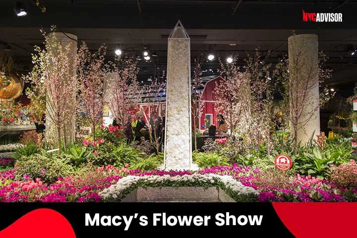 Macy's Flower Show in April, NYC