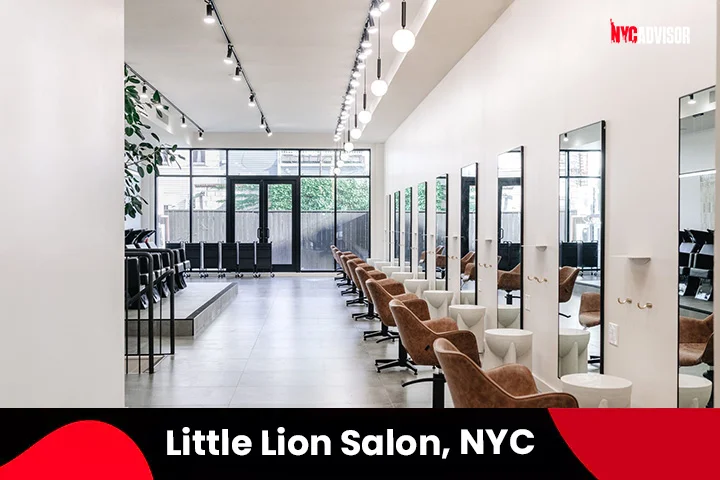 Little Lion Salon, NYC