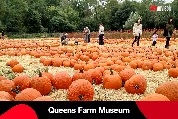 Queens Farm Museum Fall Festival in NYC