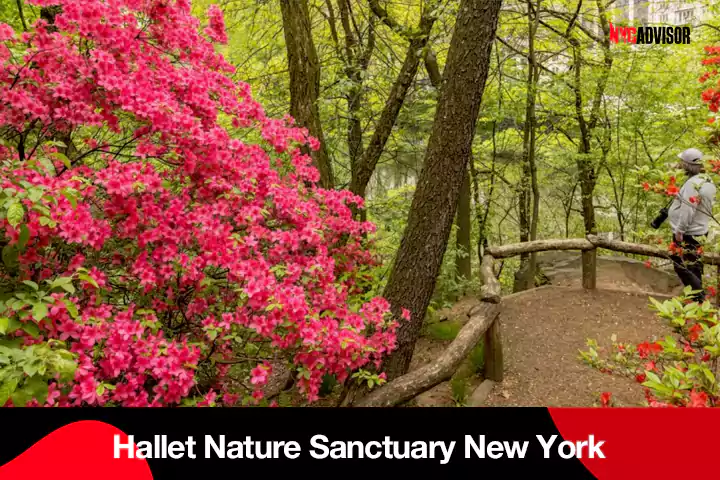 Hallet Nature Sanctuary