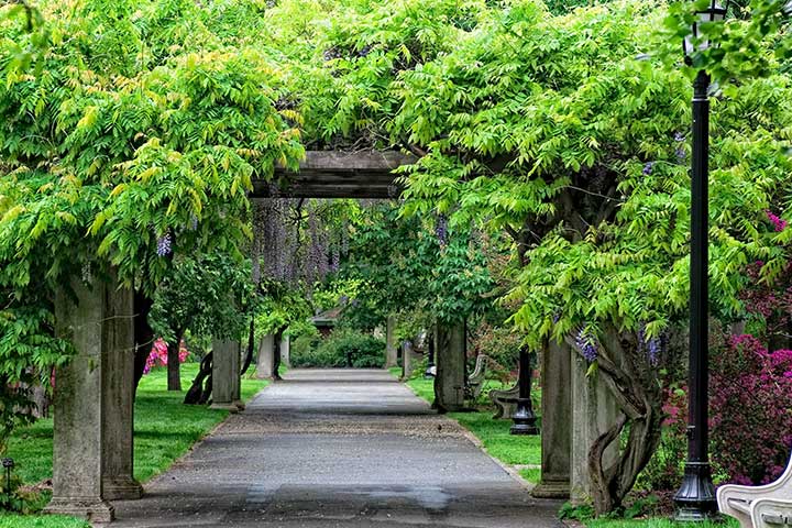 Brooklyn Botanic Gardens