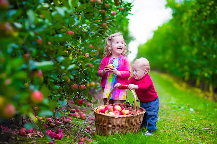 2. NYC Apple Farms for Toddlers and Kids 
