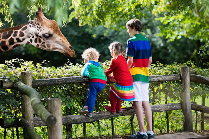10. NYC Wild Creatures in Zoo for Toddlers and Kids