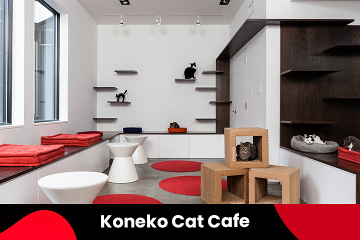 41. Koneko Cat Cafe NYC